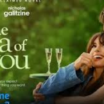 Review Film The Idea of You: Cinta Tak Terduga