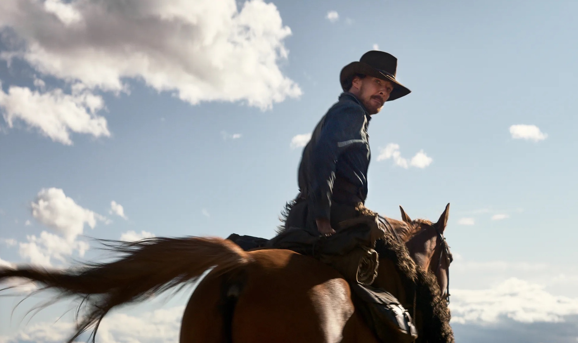 Review The Power of the Dog Maskulinitas yang Rapuh